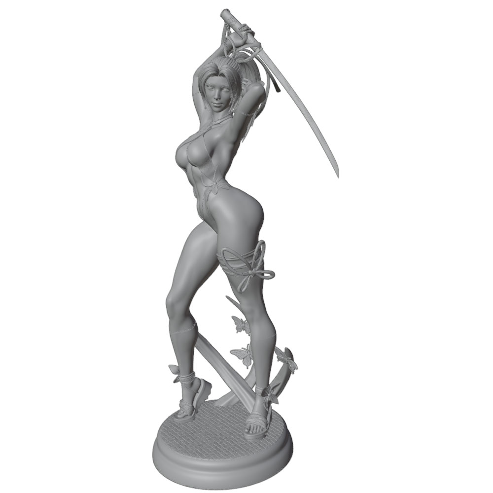 1/24 Femmina 	 Kit di modellin - 3D Printing App recensione e prezzo
