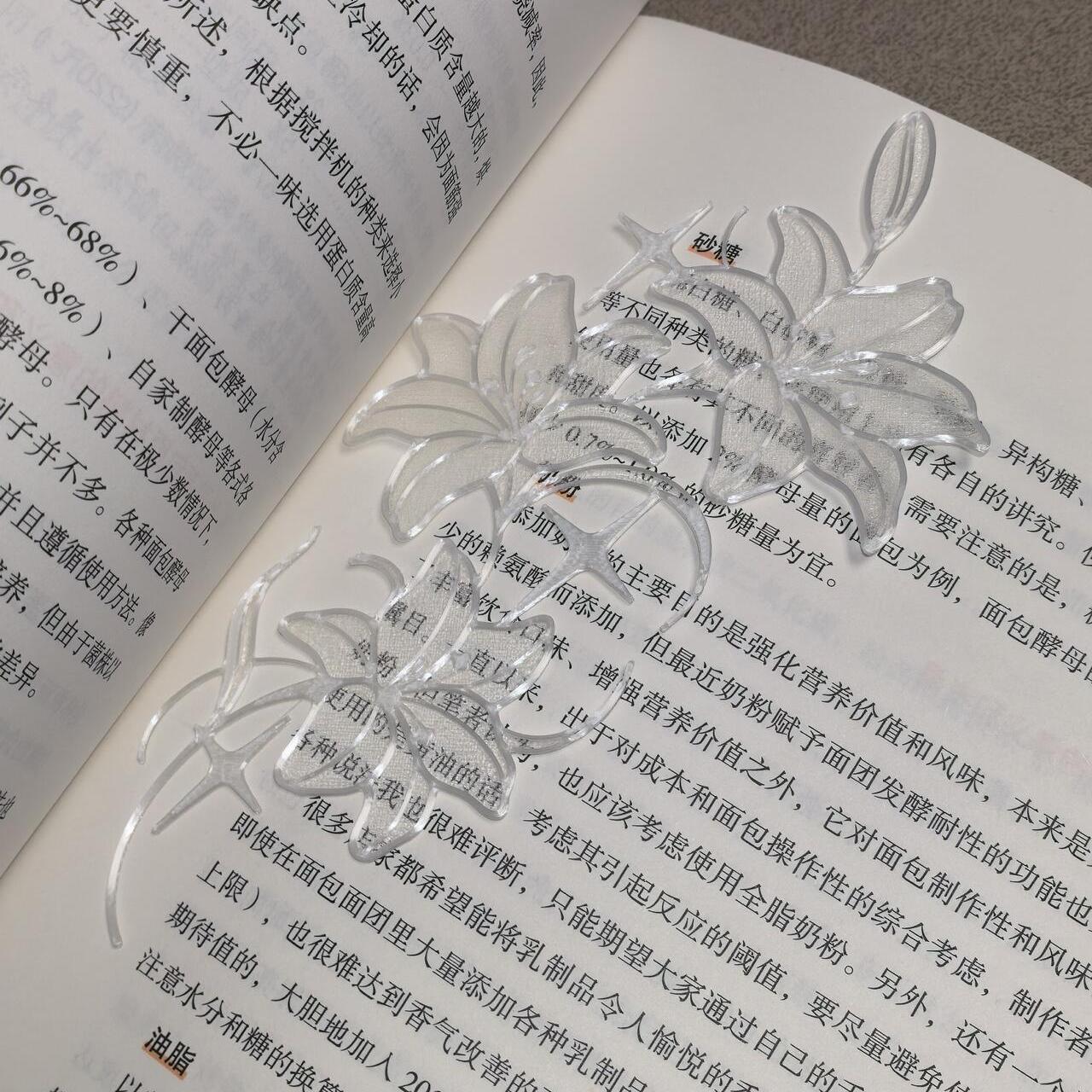 Segnalibro in Stile Coreano co - 3D Printing Journal recensione e prezzo