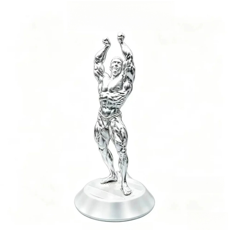 Figura Maschile Muscolosa da C - 3D Printing Gold recensione e prezzo